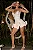 VESTIDO PALOMA - Imagem 3