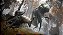 ELDEN RING Steam Offline + JOGO BRINDE NA MESMA CONTA - Imagem 3