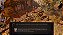 Divinity: Original Sin 2 - Eternal Edition + JOGO BRINDE (DESCRIÇÃO DO ANUNCIO) - Imagem 3