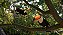 Planet Zoo 2 Deluxe Edition PRÉ-VENDA Steam Offline + BRINDE - Imagem 6