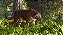 Planet Zoo 2 Steam Offline + BRINDE - Imagem 3