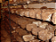 Blocos de Shiitake Axênico - Quantidade Comercial - Caixa fechada com 09 Blocos - Imagem 1