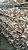 Blocos de Shiitake Axênico - Quantidade Comercial - Caixa fechada com 10 Blocos - Imagem 4