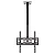 Suporte para Televisão e Monitor de Teto 26 a 60" Até 40kg MT-34 Tomate - Imagem 1
