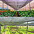 Sombrite Sombreamento 30% Hortas Plantas Orquídea - Imagem 5