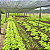 Sombrite Sombreamento 30% Hortas Plantas Orquídea - Imagem 6