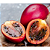 1 Muda Tamarillo + 1 Muda Framboesa - Orgânica + Manual! - Imagem 4