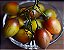1 Muda Tamarillo + 1 Muda Framboesa - Orgânica + Manual - Imagem 3