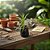 Kit - 24 Mudas Plantas Medicinais, Hortaliças, Temperos e Pancs - Escolha após compra + Manual De Plantio! - Imagem 3