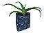1 Muda De Babosa  (aloe Vera) - Planta Medicinal + Manual - Imagem 4