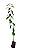 1 Muda De Cerejeira Sakura - Ornamental + Manual De Plantio - Imagem 1