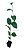 Kit 5 Mudas De Hortaliças Plantas Medicinais Monte Seu Kit - Imagem 10