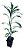 Kit 5 Mudas De Hortaliças Plantas Medicinais Monte Seu Kit - Imagem 3