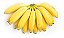 Kit 20 Mudas: 3 Oliveiras + 5 Cafés + 12 Bananas - Imagem 6