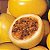 1 Muda De Maracujá Amarelo Produtiva Suco E Polpa + Manual - Imagem 3