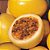 1 Muda De Maracujá Amarelo Produtiva Suco E Polpa + Manual - Imagem 1