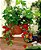 10 Kits - Adubo 100% Orgânico Para Horta Doméstica E Jardins - Imagem 2