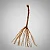 Kit - 1 Muda De Uva / Videira + 1 Adubo De Plantio + Manual! - Imagem 1