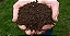 20 Kits De Adubos P/ Plantio De Mudas De Uva + Manual - Imagem 3