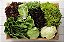 60 Kits Adubo Plantio De Alface Em Geral - Imagem 2