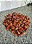Kit 15 Kg Pinhão De Araucária - Serra Mantiqueira - Mg - Imagem 3