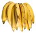 Kit 5 Mudas De Banana Da Terra Ou Maranhão + Manual - Imagem 1
