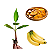 Kit 100 Mudas De Banana Terra Anã + Manual De Plantio - Imagem 1