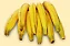 Kit 10 Mudas: Banana Da Terra E Outras Sortidas + Manual - Imagem 2