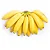 Kit 5 Mudas De Banana Nanica, Prata, Maçã E Terra + Manual - Imagem 1