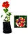 Kit - 10 Mudas Plantas Medicinais - Diversas + Manual! - Imagem 10