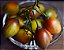 5 Mudas Tamarilo - Tomate De Árvore - Orgânica + Manual - Imagem 2