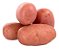 Kit - 340 Sementes Mudas Profissionais De Batata - Diversas - Imagem 2