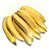 120 Mudas De Banana Terra, Prata, Nanica Ou Maçã + Manual - Imagem 8