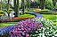 10 Kits Adubo Completos De Plantio Flores P/ Vaso E Jardins - Imagem 3