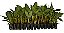 Kit 220 Mudas De Banana Terra Anã + Manual De Plantio - Imagem 3
