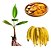 Kit 20 Mudas De Banana Da Terra Maranhão + Manual - Imagem 1