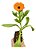 1 Muda De Calêndula - Planta Medicinal + Manual De Plantio - Imagem 1