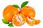 Kit 8 Mudas De Laranja Murcote - Mexerica + Manual - Imagem 1