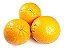 1 Muda De Laranja Bahia Enxertada + Manual De Plantio - Imagem 3