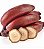 Kit 10 Mudas De Banana São Tomé - Alta Qualidade + Manual Bordô - Imagem 3