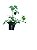 KIT 10 mudas de Plantas Medicinais - Alta Qualidade - Diversas Opções + Manual de Plantio - Imagem 3