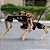 Robodog STEAM – Robô Quadrúpede Educacional com Arduino - Imagem 2
