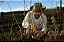 AZUL - MINIMO DE R$ 500,00 COM VINHOS PODENDO SEREM MISTURADOS DA IMPORTADORA AZUL -TARAPACÁ GRAN RESERVA PINOT NOIR 2023 - Imagem 2