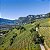 NOVIDADE ITÁLIA - ALTO ADIGE - TIEFENBRUNNER  -MERUS GEWURSTRAMINER DOC 2023 - Imagem 2