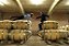 VINHOS NATURAIS ARGENTINOS - MUNDO REVÉS ASA NISI MASA CABERNET FRANC 2024 - Imagem 2