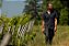 APROVEITE LANÇAMENTO NOVO VINHO - DOMAINE DE LA BORDE AD INFERNUM ET SALUTEM AOC ARBOIS 2024 - Imagem 2