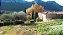 NOVIDADE - CHATEAU VAL D'ARENC VAL D'ARENC (ROSE) BLEND 2024 - Imagem 2
