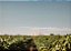 NATURES WINES - NOVIDADE - VINÍCOLA MASSERIA TAGARO PINATARO APASSIMENTO 2023 - Imagem 2