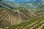 NATURES WINES - NOVIDADE – LES CHEMINS DE BASSAC L' SAGARANA 2019 - Imagem 2