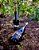 NOVIDADE NATURAIS CHILE – VINOS ULTER WINES CABERNET FRANC 2023 - Imagem 2